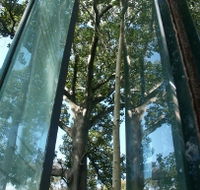 Sydney Sculpture Walk - Whitsundays Accommodation