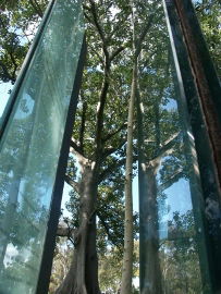 Sydney Sculpture Walk - Whitsundays Accommodation 0