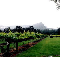 Cambewarra Estate Wines - Whitsundays Accommodation