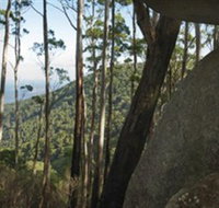 Gulaga National Park - Whitsundays Accommodation