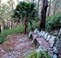 Wodi Wodi Walking Track