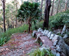 Wodi Wodi Walking Track - Whitsundays Accommodation 0