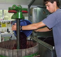 Fern Gully Winery - Whitsundays Accommodation