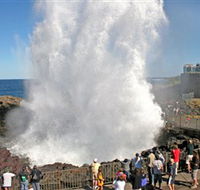 Kiama Blowhole - Whitsundays Accommodation