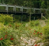 Eurobodalla Botanic Gardens - Whitsundays Accommodation