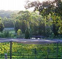 Lyrebird Ridge Organic Winery - Whitsundays Accommodation