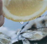 Pearly Oyster Bar and Farm - Whitsundays Accommodation