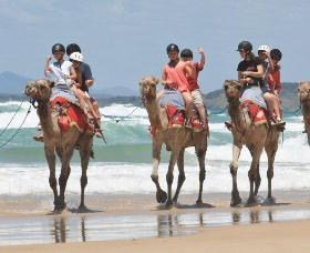 Camel Rides With Coffs Coast Camels - Whitsundays Accommodation 0