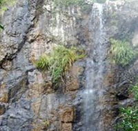 Wedding Bells Forest Drive - Whitsundays Accommodation