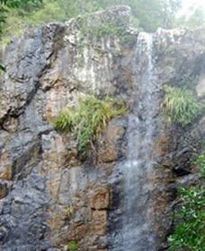 Wedding Bells Forest Drive - Whitsundays Accommodation 0