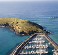 Muttonbird Island Nature Reserve - Whitsundays Accommodation