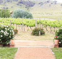 Brindabella Hills Winery - Whitsundays Accommodation