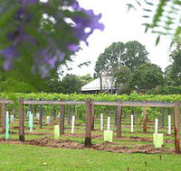 Douglas Vale Historic Homestead  Vineyard - Whitsundays Accommodation