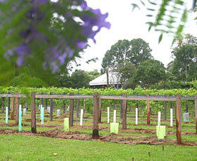Douglas Vale Historic Homestead & Vineyard - Whitsundays Accommodation 0