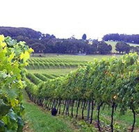 Banjo's Run Winery and Vineyard - Whitsundays Accommodation