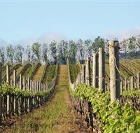 Philip Shaw Wines - Whitsundays Accommodation