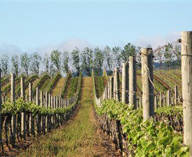 Philip Shaw Wines - Whitsundays Accommodation 0