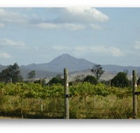 Ironbark Ridge Vineyard - Whitsundays Accommodation