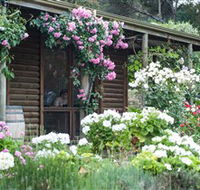 Lavina Wines - Whitsundays Accommodation