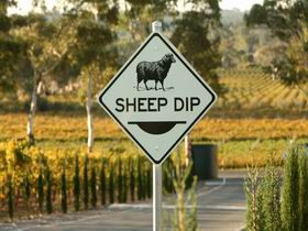 Hugh Hamilton Wines - Whitsundays Accommodation 2
