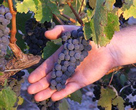 Russells Bridge VIC Whitsundays Accommodation