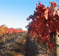 Kooyonga Creek Wines - Whitsundays Accommodation