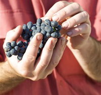 Brown Magpie Wines - Whitsundays Accommodation