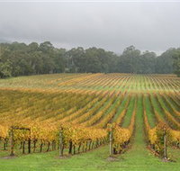 Boat O'Craigo Wines - Whitsundays Accommodation