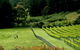 Prancing Horse Estate - thumb 2