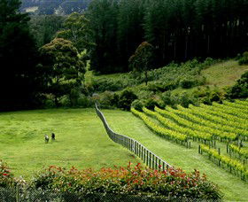 Prancing Horse Estate - Whitsundays Accommodation 2