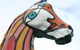 Prancing Horse Estate - thumb 1