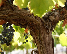 Ravenswood VIC Whitsundays Accommodation