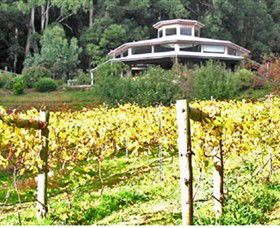 Peveril Vineyard/Beechy Berries - Whitsundays Accommodation 0