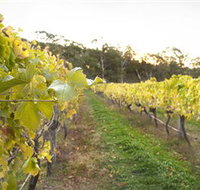 Harcourt Valley Vineyards - Whitsundays Accommodation