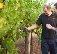 Fratin Brothers Vineyard - Whitsundays Accommodation