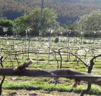 Three Willows Vineyard - Whitsundays Accommodation