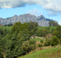 Lake Barrington Vineyard - Whitsundays Accommodation