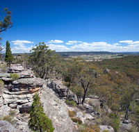 Munghorn Gap Nature Reserve - Whitsundays Accommodation