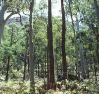 Cathedral Range State Park - Whitsundays Accommodation