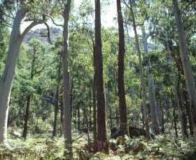 Cathedral Range State Park - Whitsundays Accommodation 0