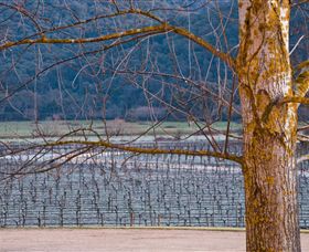 Chrismont - Whitsundays Accommodation 4