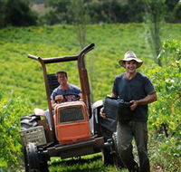 Kellybrook Winery Kelly Brothers Cider  Riders Brew Co. - Whitsundays Accommodation