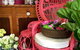 Van Loon's Nursery - thumb 3