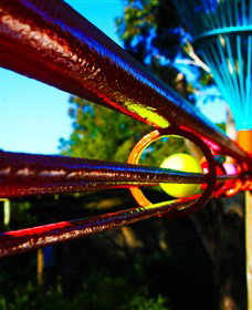Bellarine Adventure Golf - Whitsundays Accommodation 6