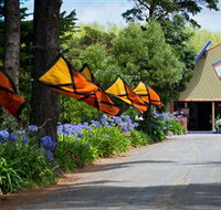 Oakdene Vineyards Restaurant and Cellar Door - Whitsundays Accommodation