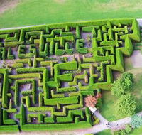 Hedgend Maze and Healesville Laser Sport - Whitsundays Accommodation