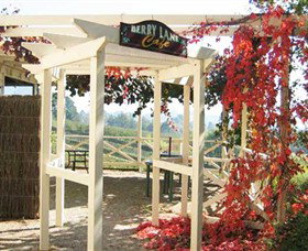 Blue Hills Berries & Cherries - Whitsundays Accommodation 1