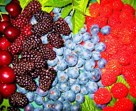 Blue Hills Berries & Cherries - Whitsundays Accommodation 2