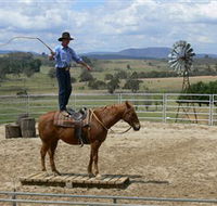 Boggy Creek Shows - Whitsundays Accommodation