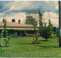 Tumut Valley Violets - Whitsundays Accommodation